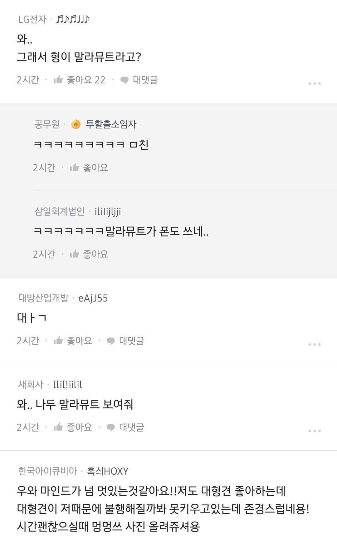하루에 40킬로미터 산책 시킨다는 말라뮤트 견주 | 인스티즈