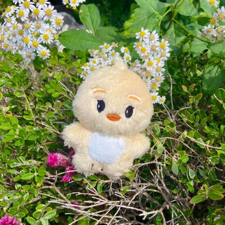 요즘 아이돌 팬들 사이 덕질 필수템 중에 하나인 것 | 인스티즈