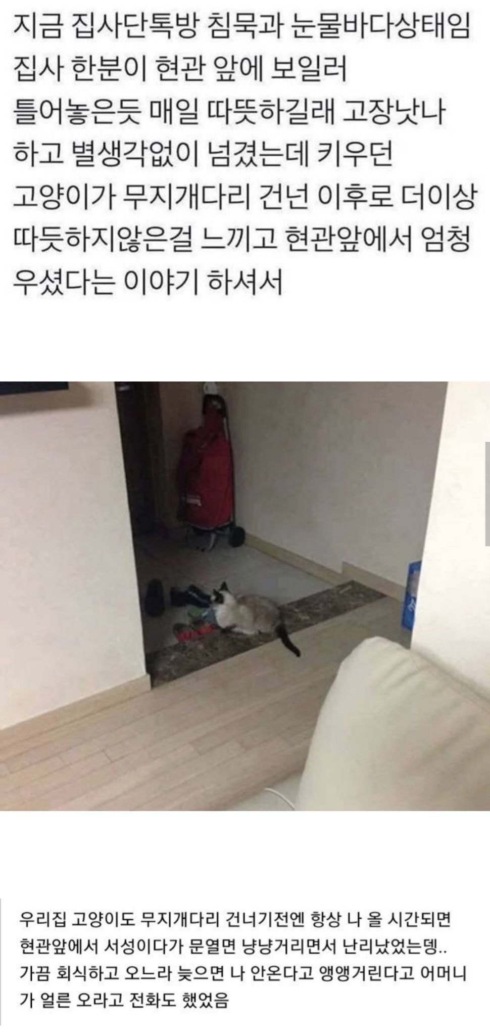 현관 앞이 항상 따뜻했던 이유 | 인스티즈