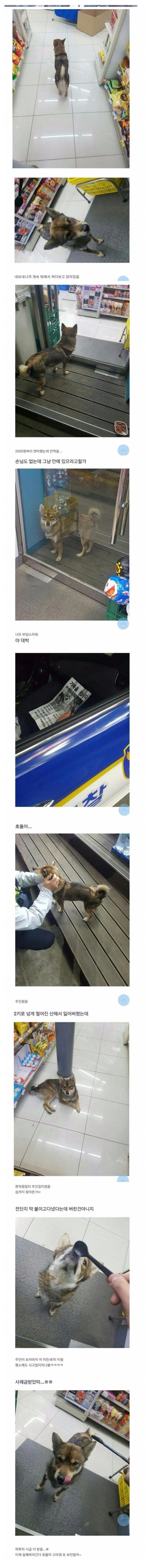 특이한 손님이 들어온 편의점 | 인스티즈