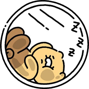 춘식이 프사 공유 | 인스티즈