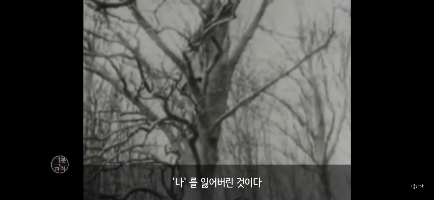 전세계에서 금지된 마약 | 인스티즈