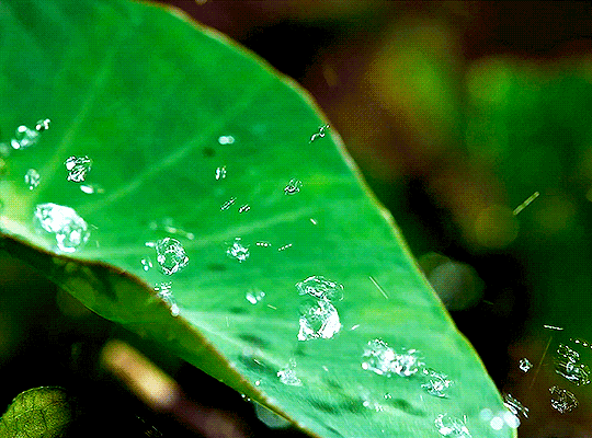 눈 감았다 뜨면 6월이야! 6월이면 곧이에요 곧! | 인스티즈