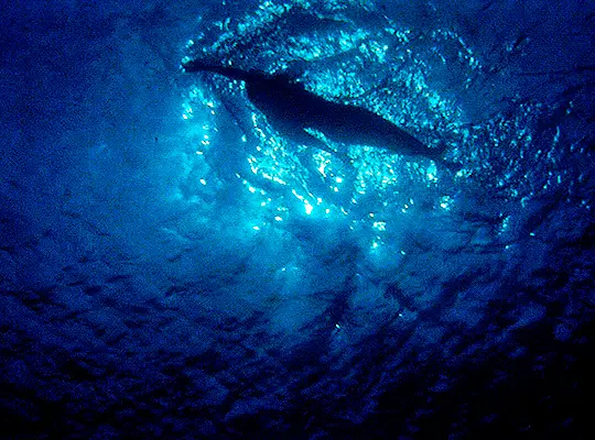 눈 감았다 뜨면 6월이야! 6월이면 곧이에요 곧! | 인스티즈