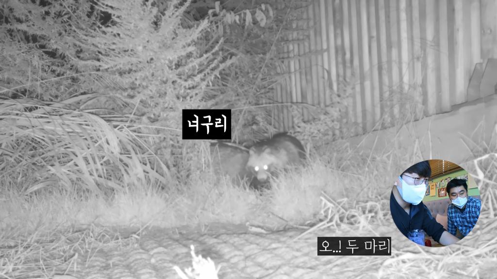 고속도로에 있는 생태통로 진짜 야생동물이 다닐까? | 인스티즈