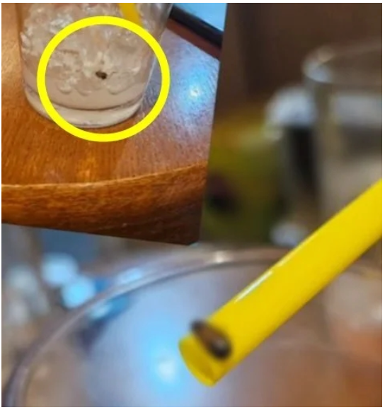 프랜차이즈 커피에서 벌레 나왔는데…"3900원 입금이 전부였다" 주장한 고객 | 인스티즈