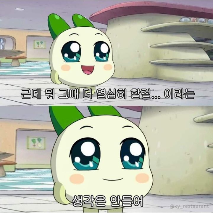 리카상사 이미지