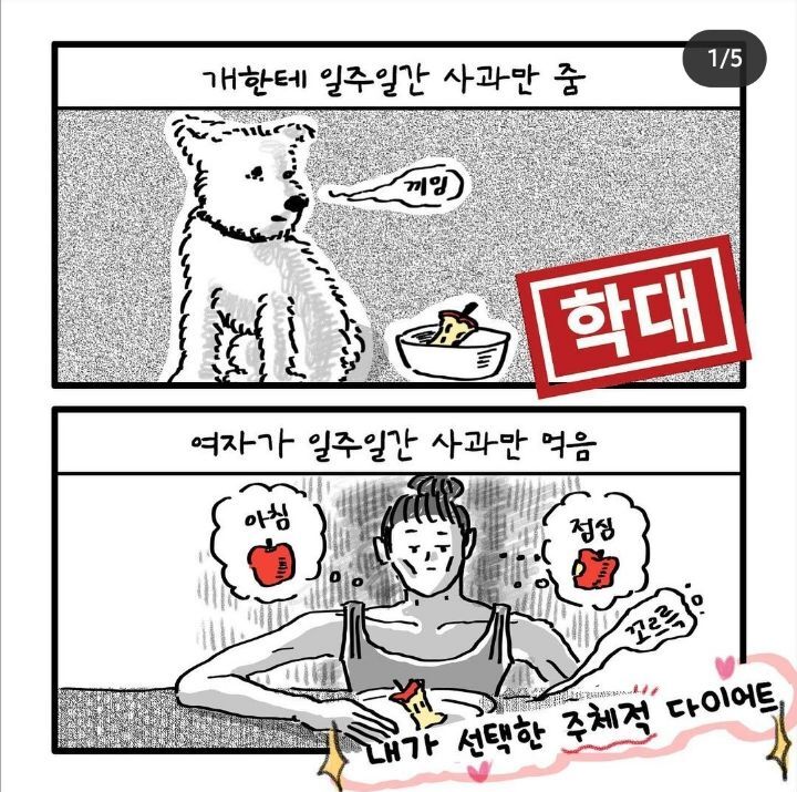 개vs여자 | 인스티즈