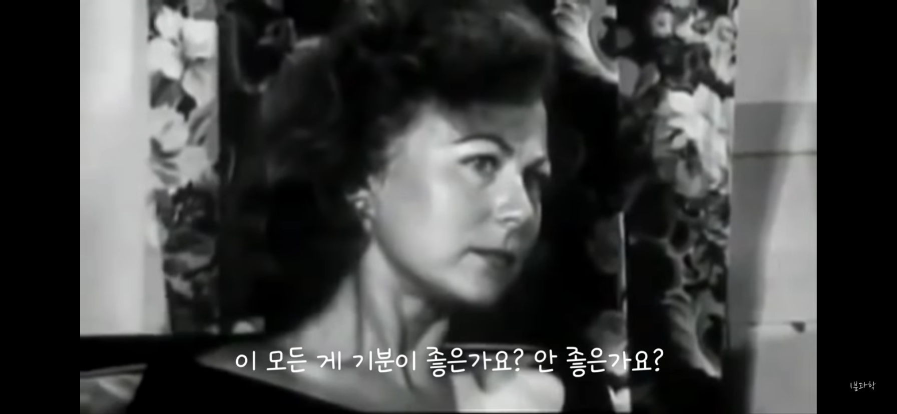 전세계에서 금지된 마약 | 인스티즈