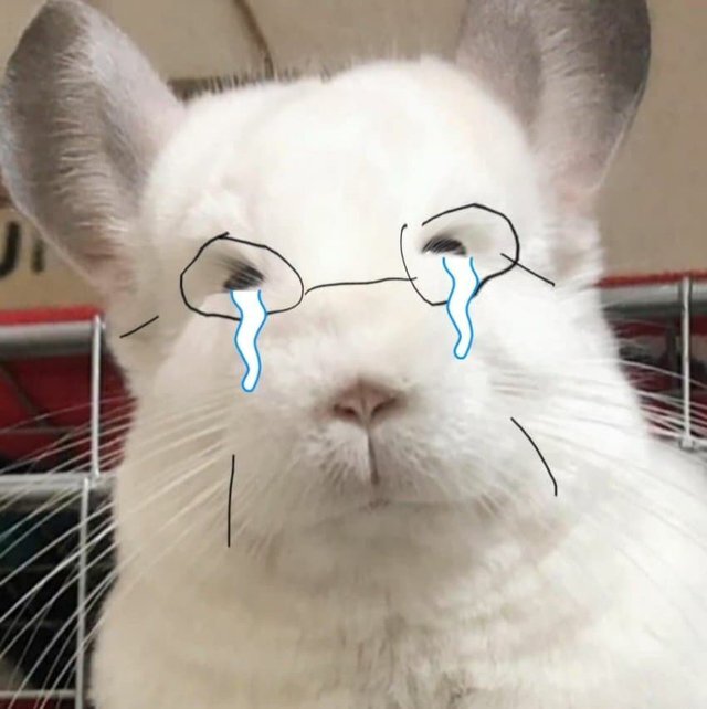 낯설지 않은 이재명 오늘자 트위터 | 인스티즈