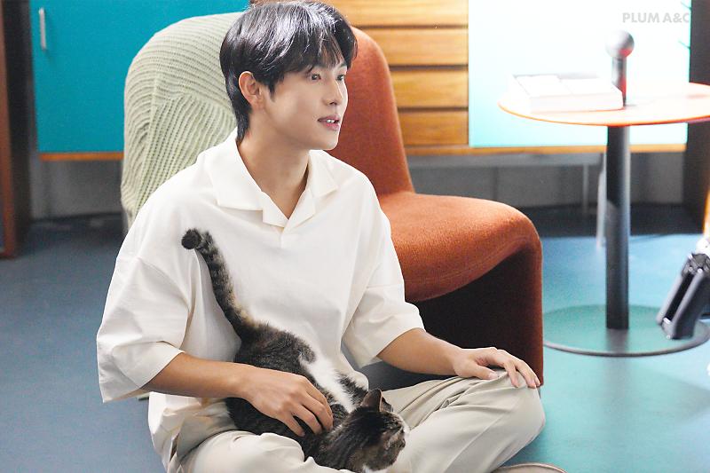 담당자 사심이 느껴지는 배우의 네이버포스트(feat.고양이) | 인스티즈