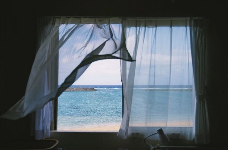 진짜로 끝나버렸어 여름! | 인스티즈