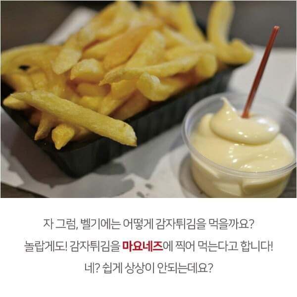 벨기에는 감자튀김에 'ㅇ'를 찍어 먹는다 | 인스티즈