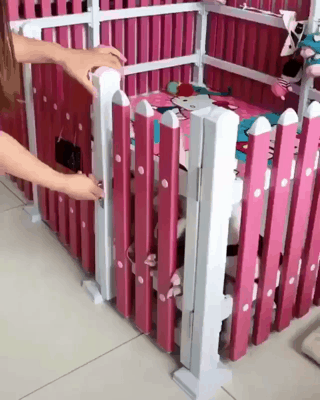 강아지 짤 모음(개많음) | 인스티즈