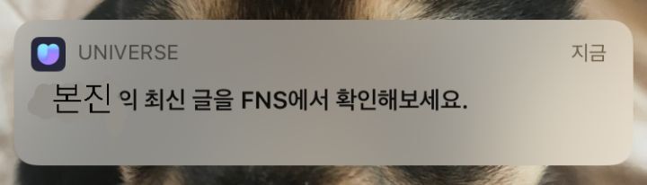 케이팝 하는 이유••• | 인스티즈