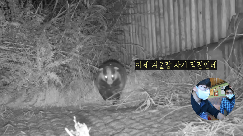 고속도로에 있는 생태통로 진짜 야생동물이 다닐까? | 인스티즈