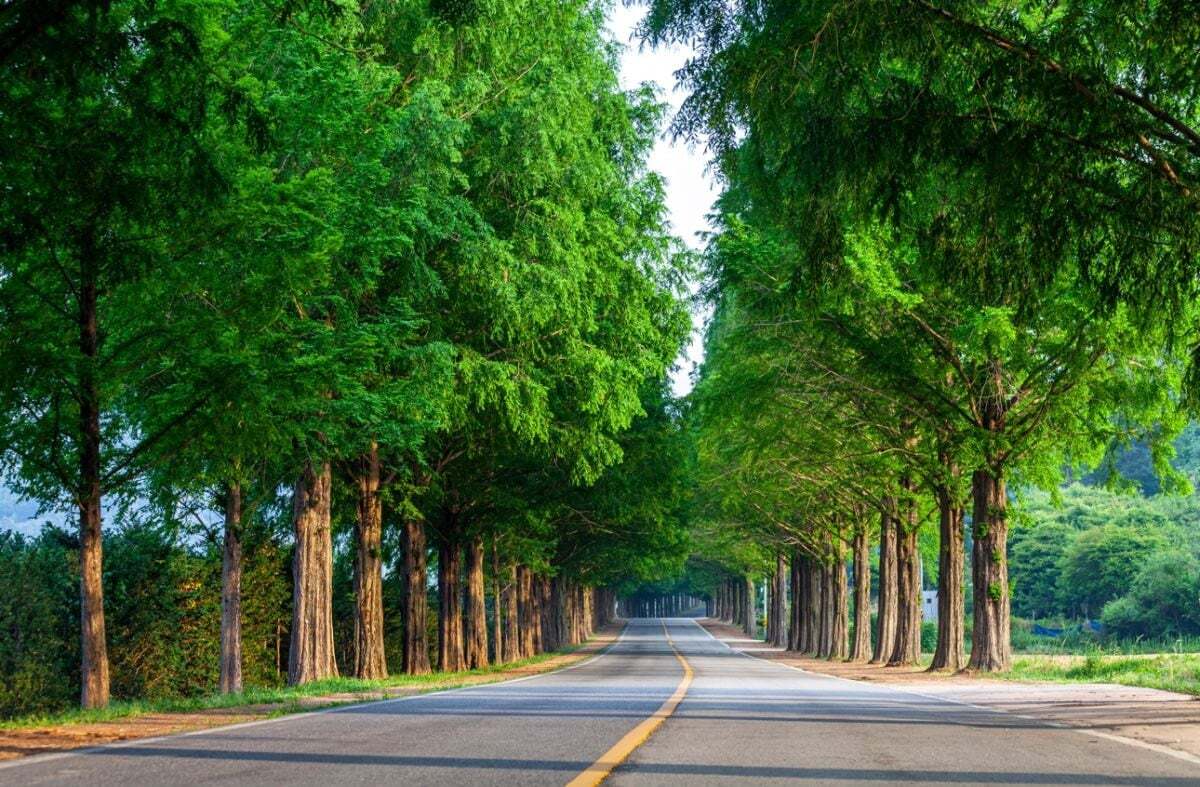 치킨 2마리 걸고 사진대회 열자 2시간 만에 나온 작품들. jpg | 인스티즈