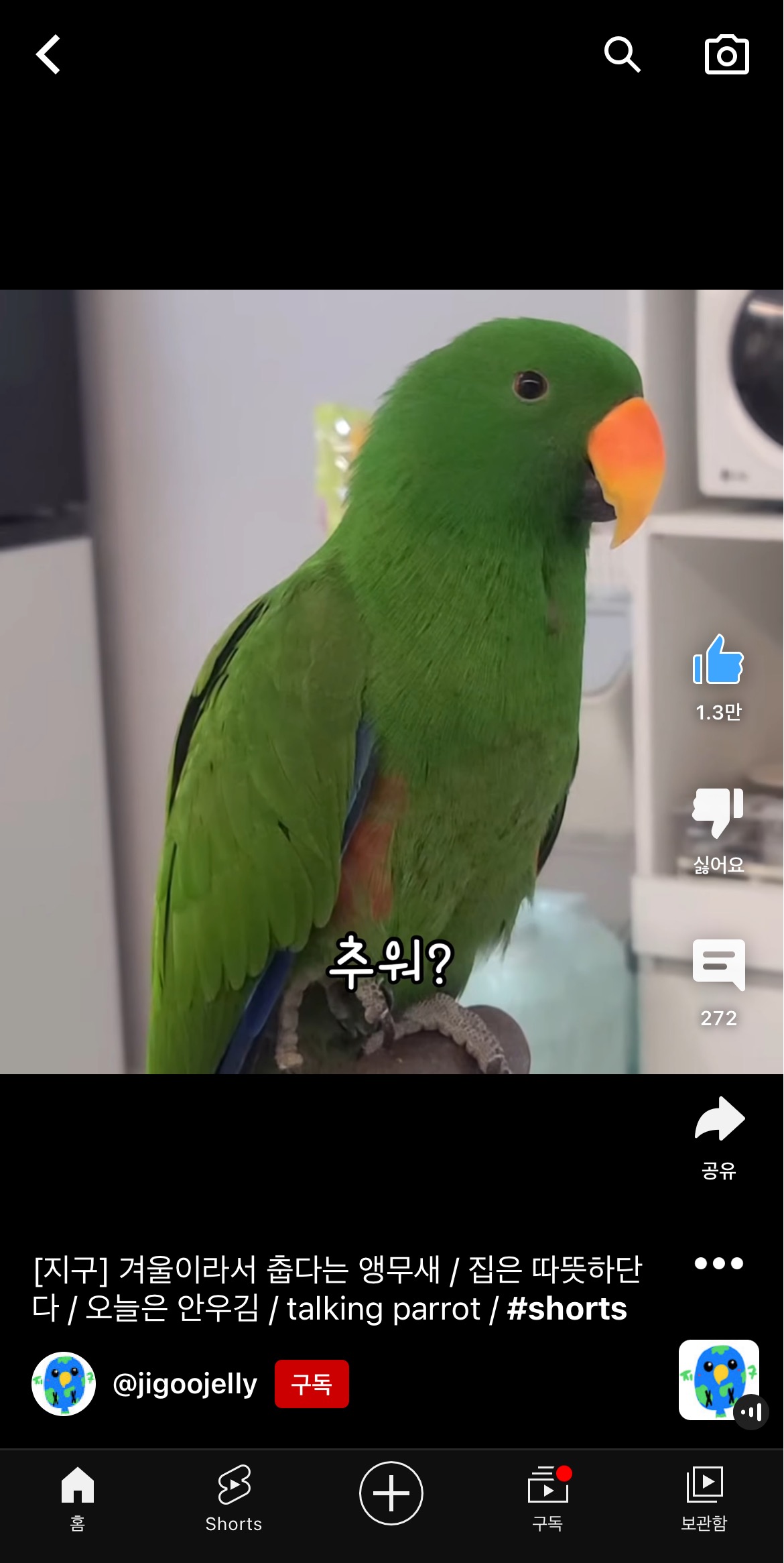 겨울이라서 춥다는 앵무새 지구 | 인스티즈