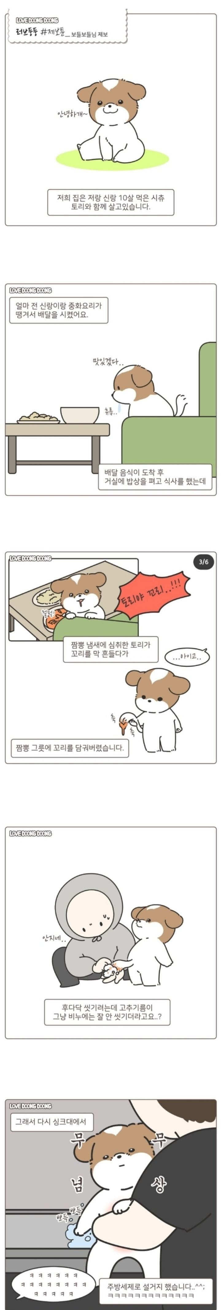 꼬리 설거지당한 강아지ㅠㅠ | 인스티즈