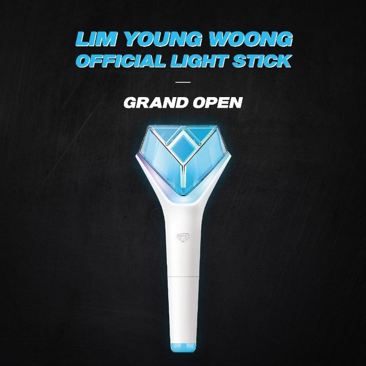 가격 4만원 넘는 가수 응원봉.jpg | 인스티즈