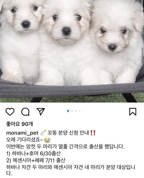 두 번이나 임신에 실패했지만 계속 도전한 결과 이렇게 예쁜 아가들을 낳았어요🤍💛 | 인스티즈