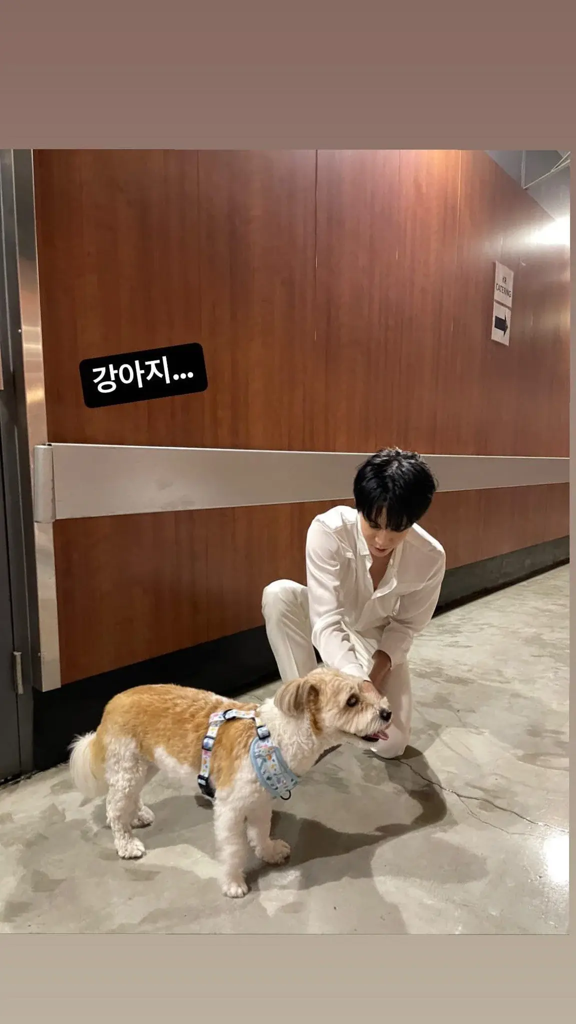 엔시티127의 강아지... | 인스티즈