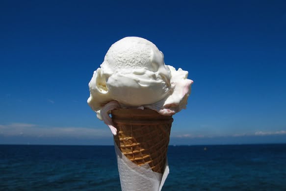 진짜로 끝나버렸어 여름! | 인스티즈