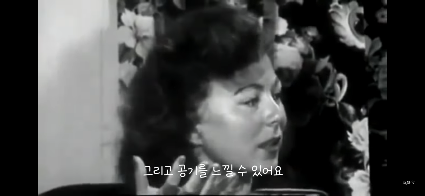 전세계에서 금지된 마약 | 인스티즈