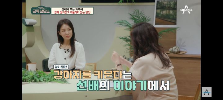 [금쪽상담소] 왜 나는 매번 불편할까? 자극에 쉽게 상처받는 사람들 특징 | 인스티즈