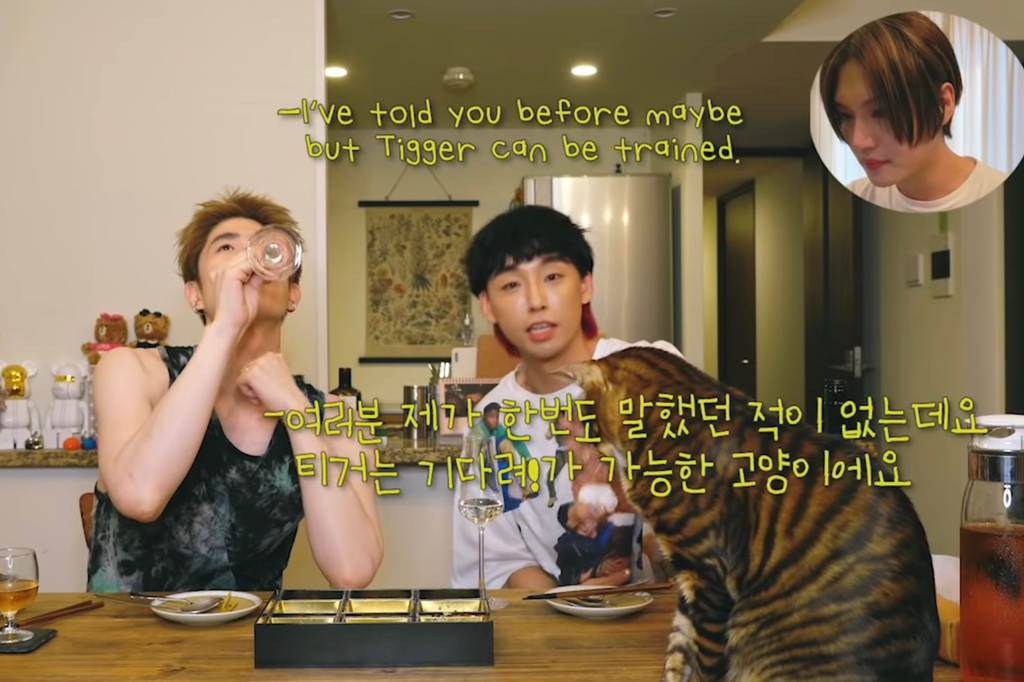 [국제모델게이커플] ???자기야 정신차려 | 인스티즈