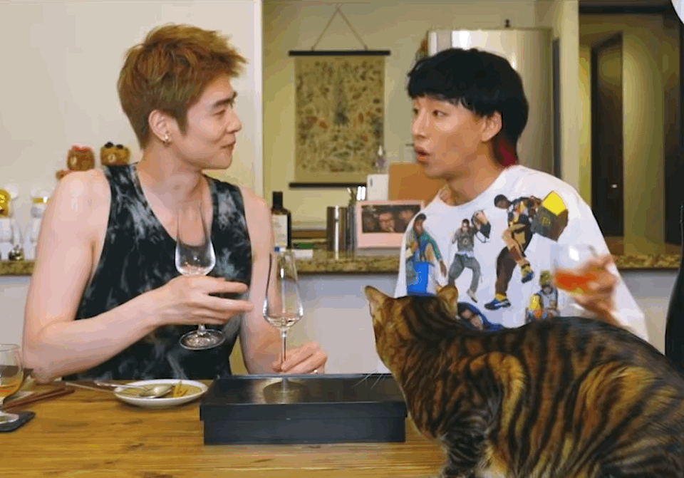 [국제모델게이커플] ???자기야 정신차려 | 인스티즈