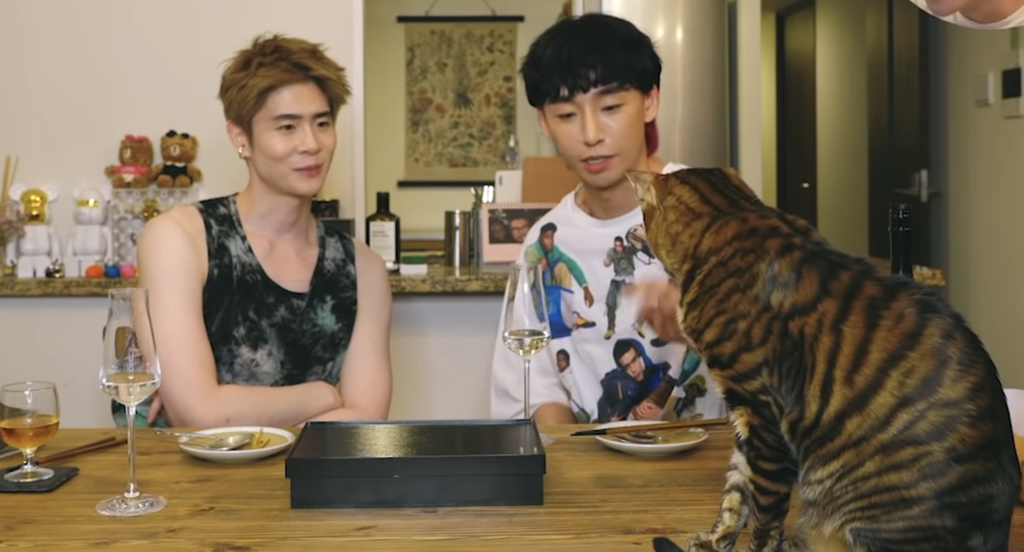 [국제모델게이커플] ???자기야 정신차려 | 인스티즈