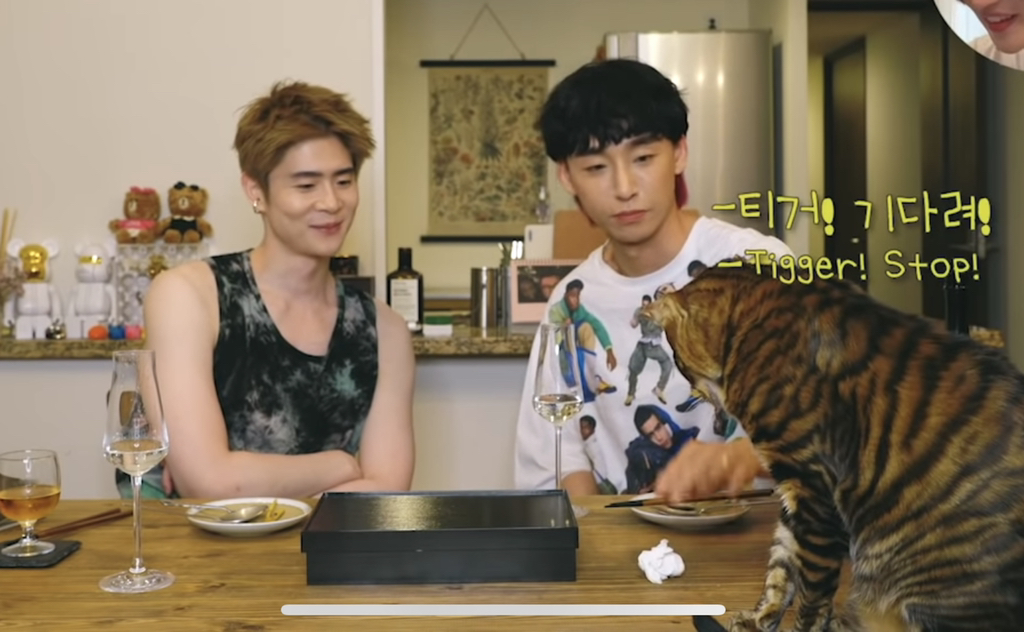 [국제모델게이커플] ???자기야 정신차려 | 인스티즈