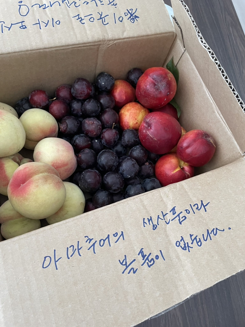 오늘 이사했는데 이웃집에서 이렇게 주고 가셨다 | 인스티즈