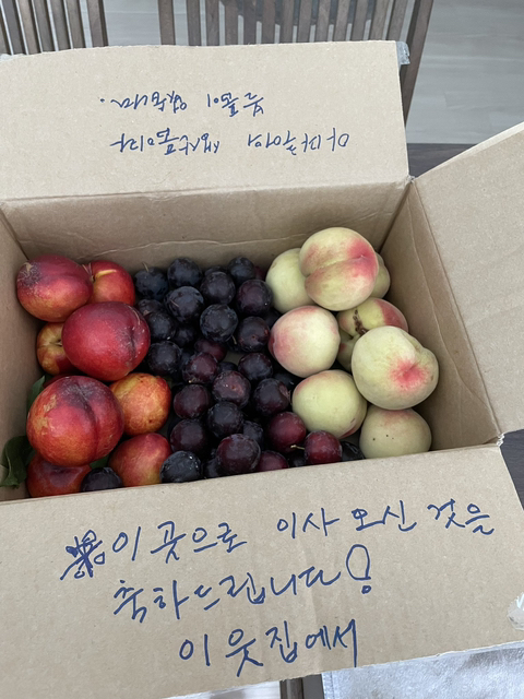 오늘 이사했는데 이웃집에서 이렇게 주고 가셨다 | 인스티즈