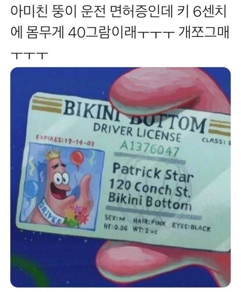 뚱이 이미지