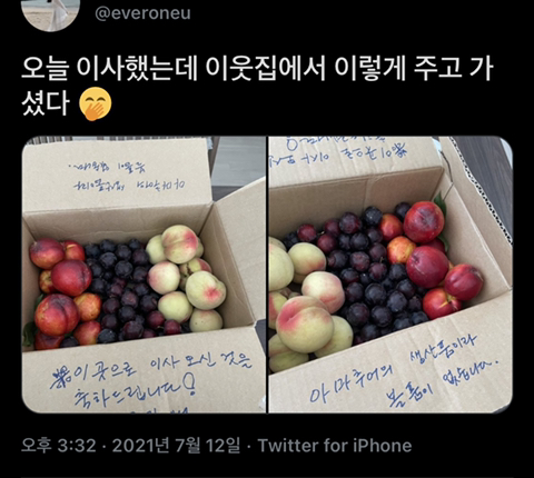 오늘 이사했는데 이웃집에서 이렇게 주고 가셨다 | 인스티즈