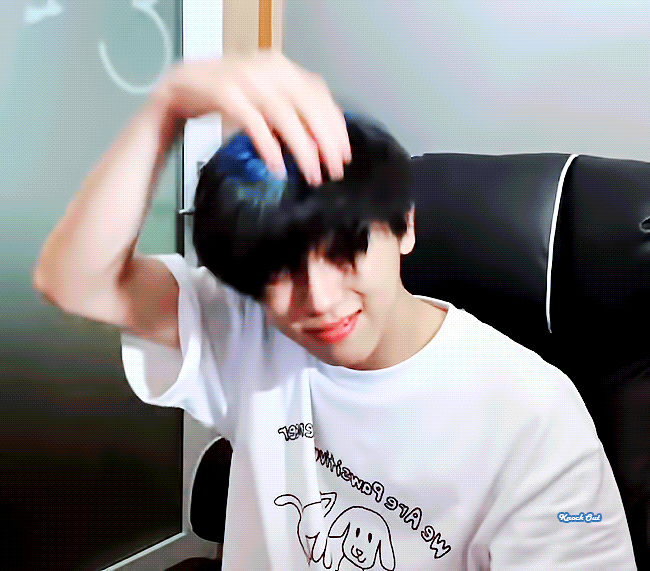 한 아이돌이 좋아하는 강아지 종 | 인스티즈