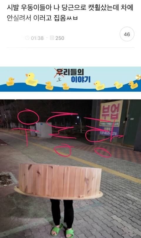  우동이들아 나 당근으로 캣휠샀는데 차에 안 실려서 | 인스티즈
