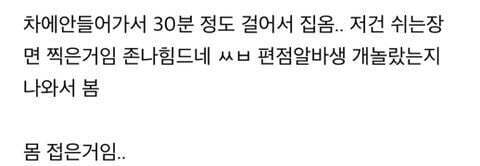  우동이들아 나 당근으로 캣휠샀는데 차에 안 실려서 | 인스티즈