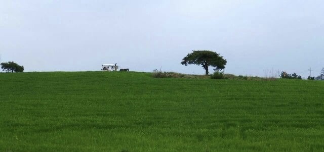 해 보일 정도로 속을 내보이는 순진한 미남과의 하룻밤이 어쩌면 나쁘지 않을지도 | 인스티즈