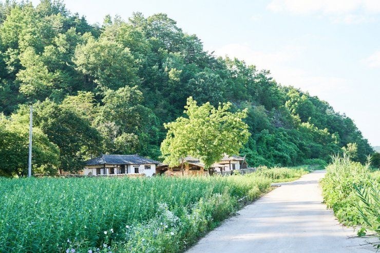 해 보일 정도로 속을 내보이는 순진한 미남과의 하룻밤이 어쩌면 나쁘지 않을지도 | 인스티즈