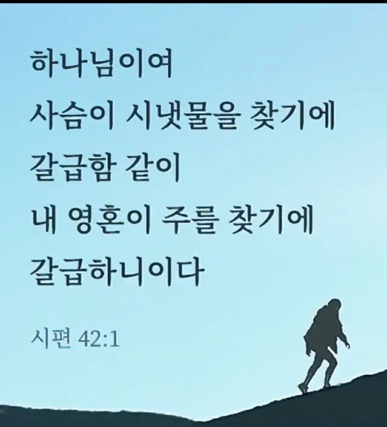 (주)새벽바다 이미지