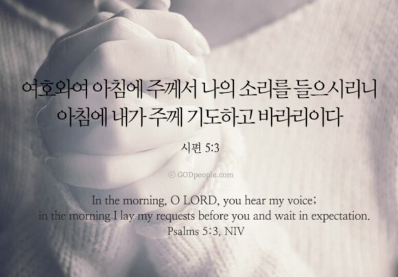 (주)믿음 이미지
