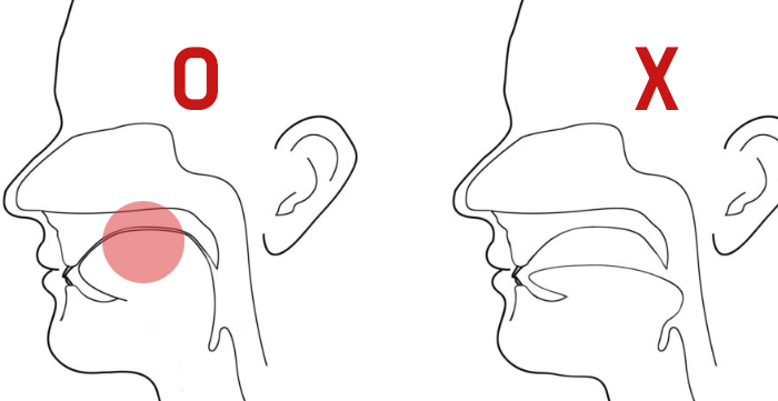 무턱 개선, 턱선 교정에 효과가 있다는 뮤잉운동 (올바른 혀 위치) | 인스티즈