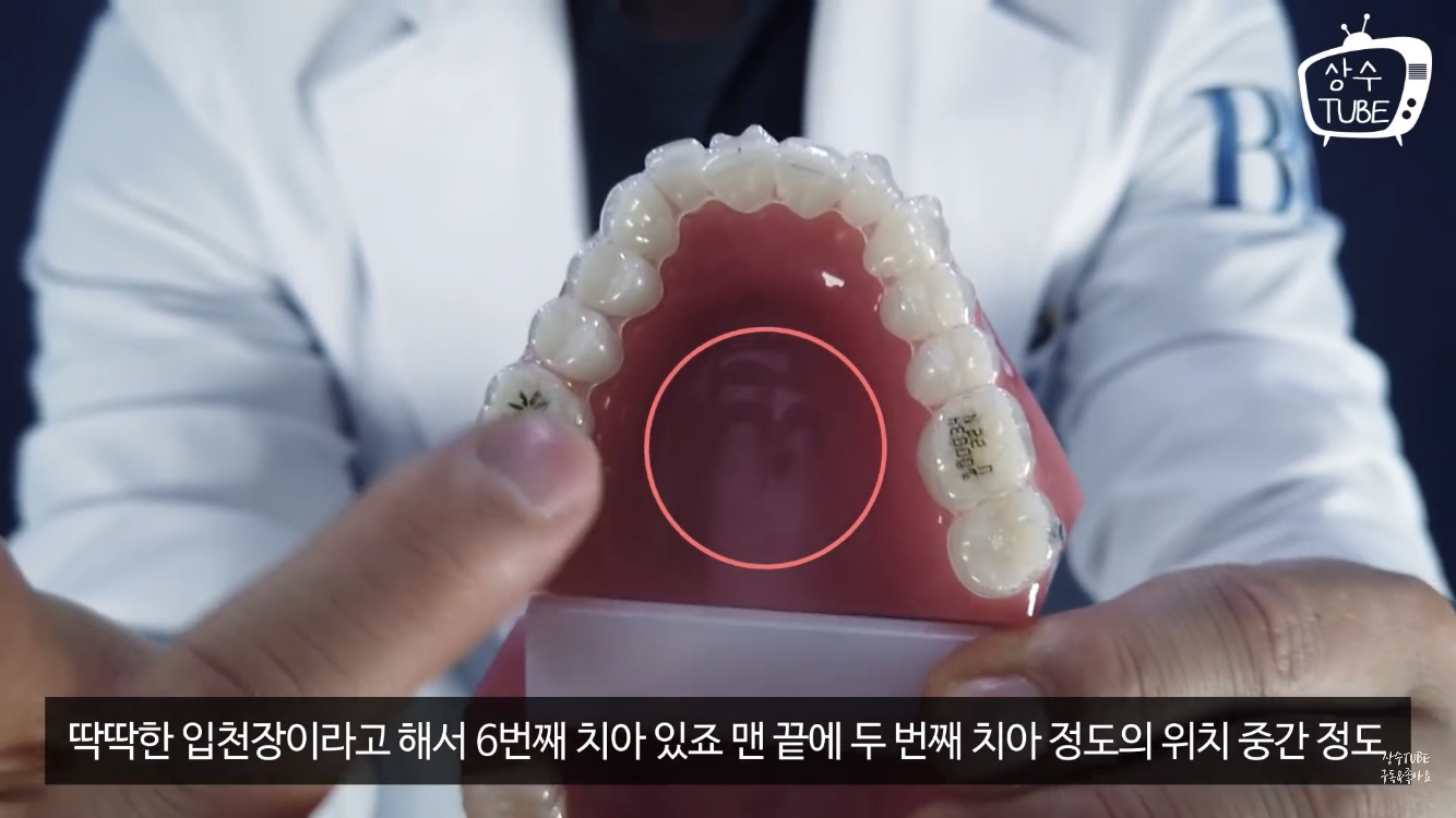 무턱 개선, 턱선 교정에 효과가 있다는 뮤잉운동 (올바른 혀 위치) | 인스티즈