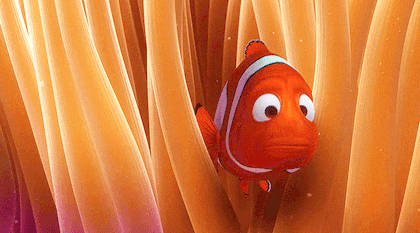 다음 세대는 니모를 찾아서를 이해할 수 없는 이유 | 인스티즈