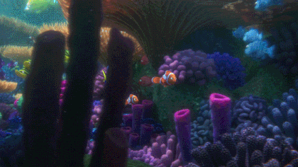 다음 세대는 니모를 찾아서를 이해할 수 없는 이유 | 인스티즈