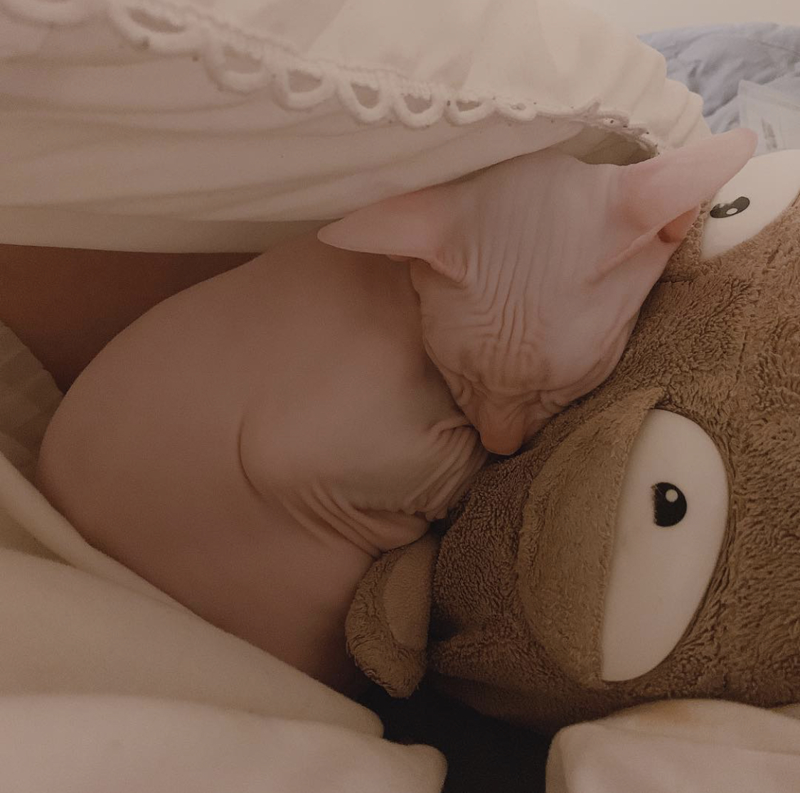 나는 이제 너 없이도 너를 좋아할 수 있다 | 인스티즈