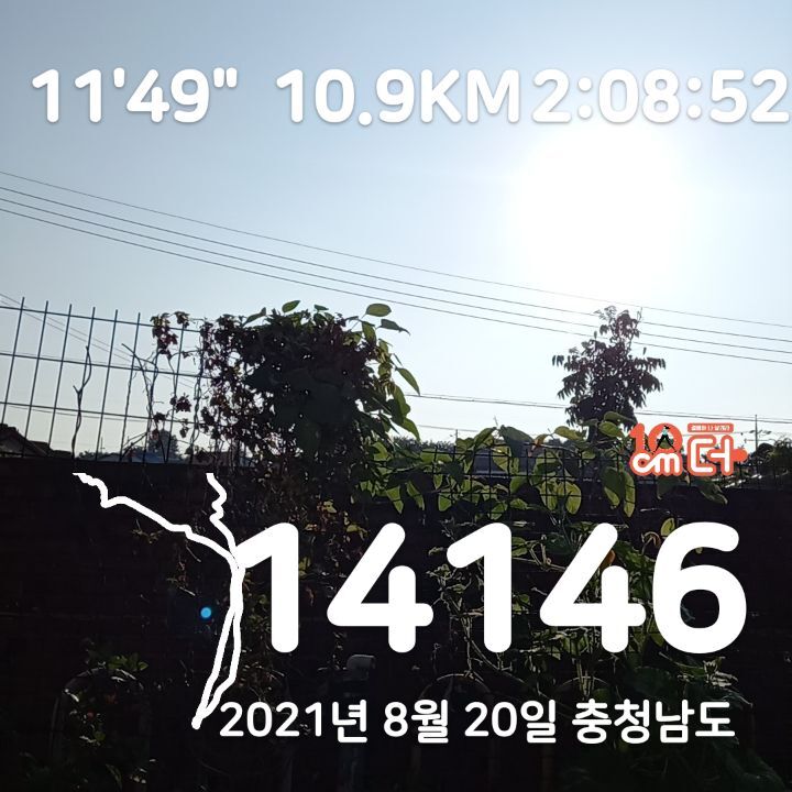 금상첨화 이미지